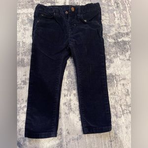 Zara navy velvet pant boy